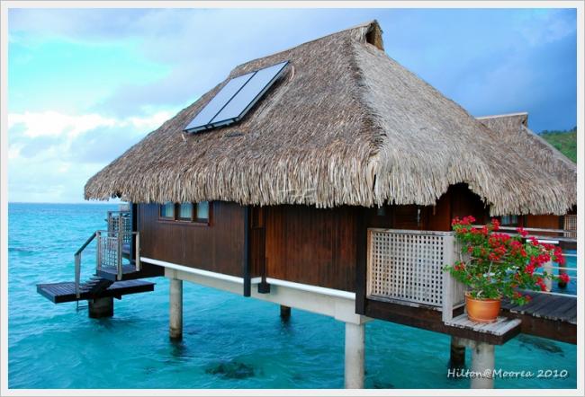 Moorea050.JPG